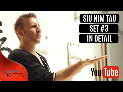 Siu Nim Tau set #3 explained in detail