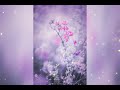 Thaamaranoolinal Mullavalliyum Thenmavum Malayalam Nostalgic Whatsapp Status
