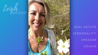 What is the Legend of the Dogwood Tree? #Shorts