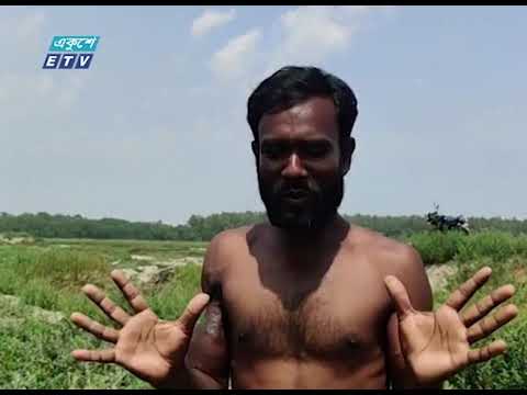 করোনার প্রভাবে ফলমূল ও শাকসবজি নষ্ট হচ্ছে জমিতে-আড়তে || ETV News