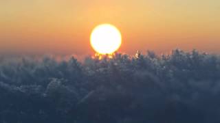 Little Green Cars - Harper Lee