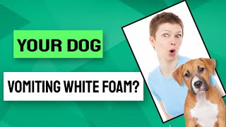 🤓What are the reasons why your dog vomiting white foam? 🐶
