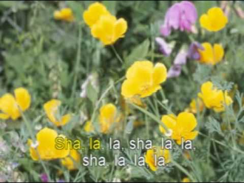 MUSICA ROMANTICA Los Naufragos Estoy hecho un Demonio