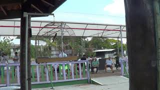 CAMPEONATO DE CURIÓS CLÁSSICOS FEBRAPS 2019 - 4a. ETAPA VALINHOS