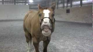 Justice cheesing it up