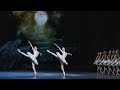 Insights The Royal Ballet In Rehearsal Swan Lake