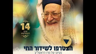 הילולת מרן הראשל"צ מרדכי אליהו זצ"ל תשפ"ד - 14 שנים לפטירתו (הרב מרדכי אליהו זצ"ל) - התמונה מוצגת ישירות מתוך אתר האינטרנט יוטיוב. זכויות היוצרים בתמונה שייכות ליוצרה. קישור קרדיט למקור התוכן נמצא בתוך דף הסרטון