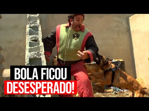 BOLA FOI ATACADO POR UM CACHORRO FEROZ, PEDRINHO CHOROU E+ | Dramaturgia Escobar #06