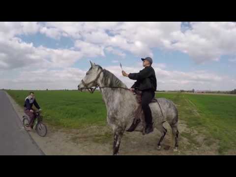 Sierżant kobyła-Kabaret :)