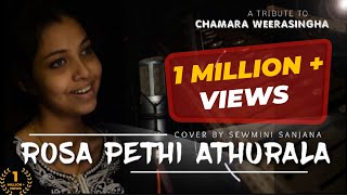 Rosa Pethi Athurala | රෝස පෙති අතුරාලා | Cover by Sewmini Sanjana | A tribute to Chamara Weerasingha