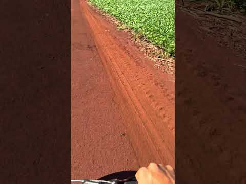 Região de Santa Mariana Pr