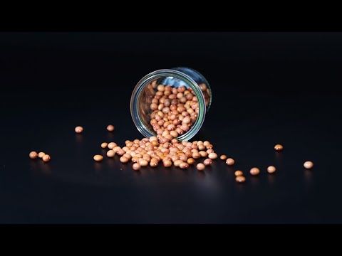 Wundersame Welt der Saatenvielfalt 😍🙏 Warum der Erhalt samenfester Sorten so wichtig ist 💚🌾🌱 Saatgut