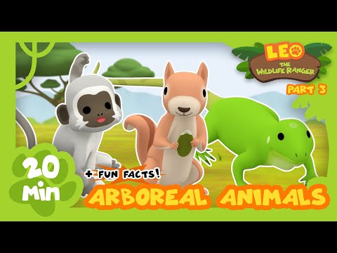 Witness21 Editor  2021 06 10