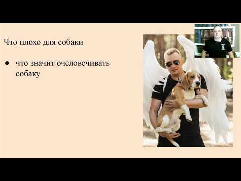 , title : 'Секреты воспитание собак от Игоря Сидорова , основателя онлайн школы по воспитанию собак «Сарбона»'