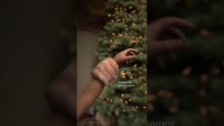 Creepiest Christmas Tree 🎄