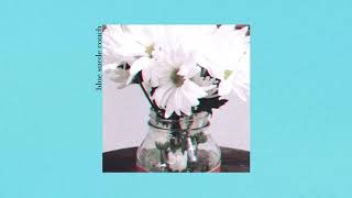 Lacy Cavalier - Blue Suede Couch (Audio Only)