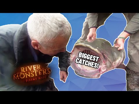 The BIGGEST CATCHES! (Part 1) | COMPILATION | River Monsters