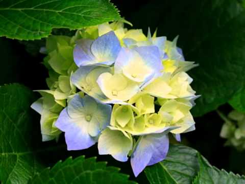 Slideshow 2012-03-24