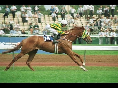 1991 - 1992 Australasian Racing Year _ The Cup Contenders