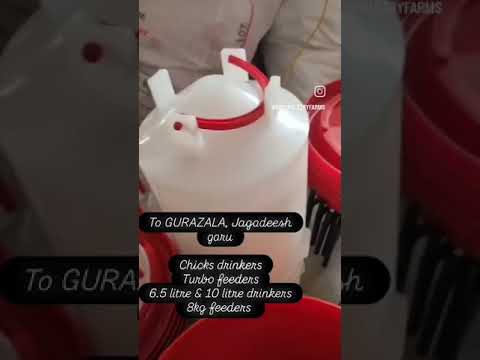 Poultry feeder and drinker, 50 birds