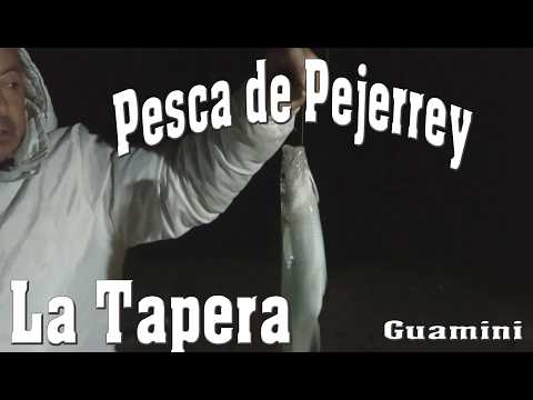 Pejerrey en  La Tapera  // Guamini