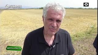ΘΕΣΣΑΛΩΝ ΓΗ ΤΕΡΑΣΤΙΕΣ ΖΗΜΙΕΣ ΑΠΟ ΧΑΛΑΖΙ ΣΤΗ Δ.ΘΕΣΣΑΛΙΑ 21 06 2021