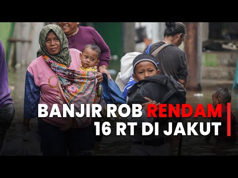 Banjir Rob Rendam 16 RT di Jakut dan Kepulauan Seribu Pagi Ini