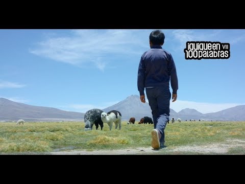 Finalistas VII versión