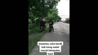 Download lagu joko kendil sudah sampai di tegal #shorts #snackvideo mp3