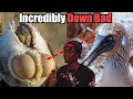 12 Minutes Of Highly Questionable Bird Facts