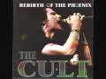 The Cult -" WAKE UP TIME FOR FREEDOM"- NEW!!!!!
