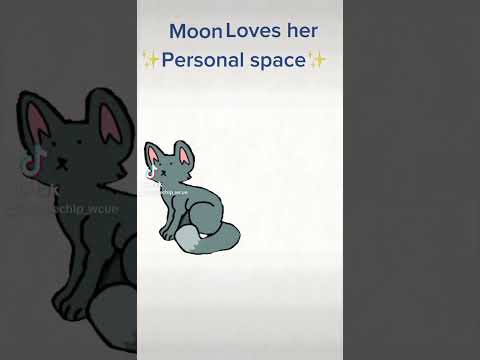 Leaf also loves moons personal space (@-leaf_paw- ) :D #Art #hashtag #cat #cats
