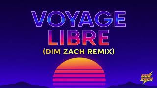 Thievery Corporation - Voyage Libre (Dim Zach mix)