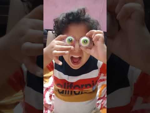 #Shorts#Kon Kon Chocolate Ke Ke Khecho?#Bengali Vlogs#@My Specials 3319.