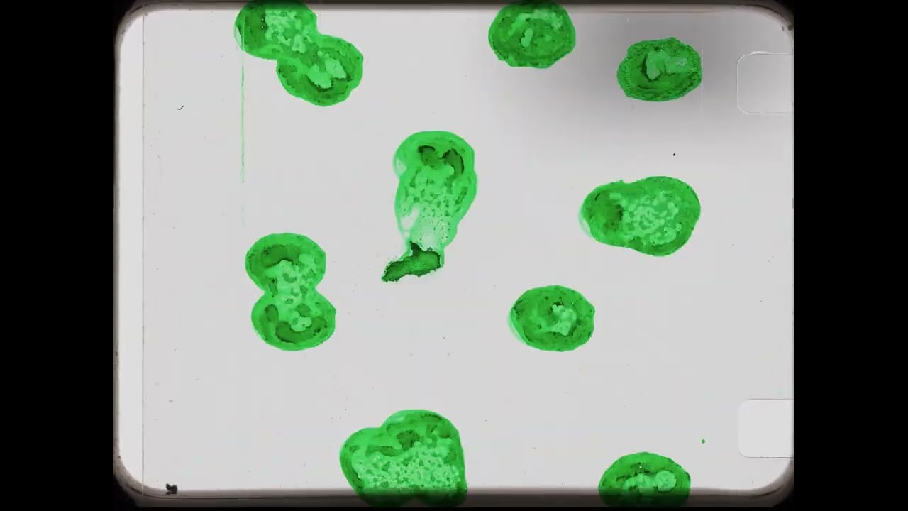 CAF24 - Mary Martins 16mm Animation Workshop