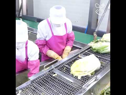 Amazing Kimchi Factory in Korea.