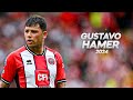 Gustavo Hamer - Combination of Technique and Bravery - 2024ᴴᴰ