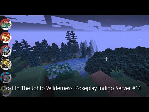 Lost In The Johto Wilderness  Pokeplay Indigo Server #14