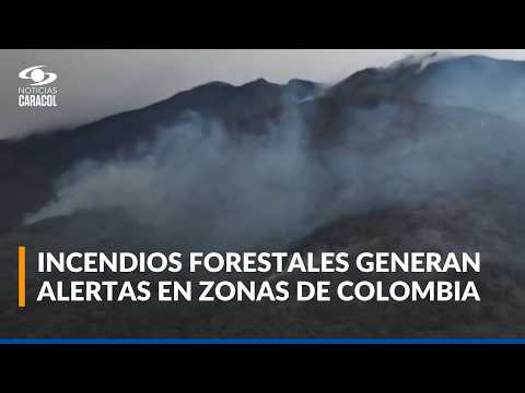 Incendios forestales afectan varias regiones de Colombia en medio de las altas temperaturas