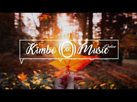 DJ NP FT REVU$ - YOU X ISLAND QUEEN X WIFEY - [REMIX 2019]