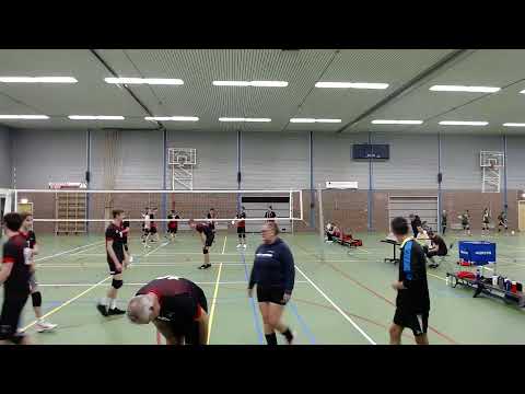 Mytilus H2 - STEVO H