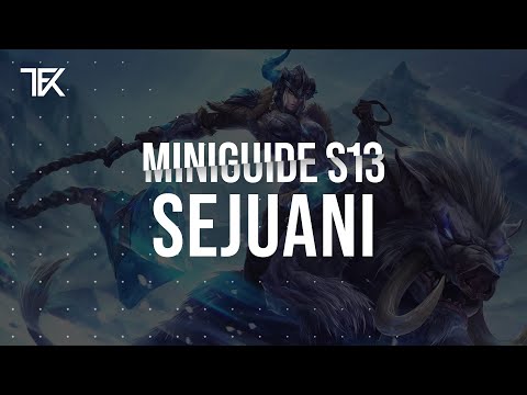 Sejuani Miniguide S13 | Team Freekills