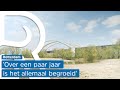 Nieuwe getijdenoevers Eiland van Brienenoord geven meer ruimte aan natuur