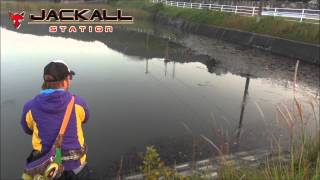 秦拓馬の晩秋の野池攻略Part.1