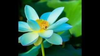 tum se hi by mohit chauhan