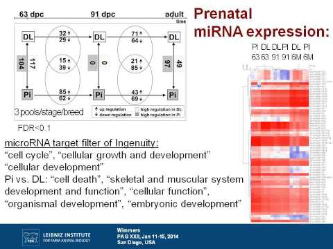 Dissecting quantitative traits by analyzing co-expression networks