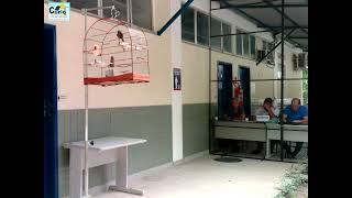 8ª ETAPA DO CAMPEONATO ESTADUAL 2024 - RJ