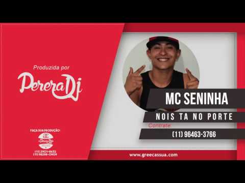 Mc Seninha - Nois Tá No Porte (PereraDJ) (Audio Oficial)