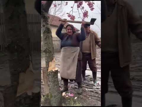 Baba vrea miros exotic