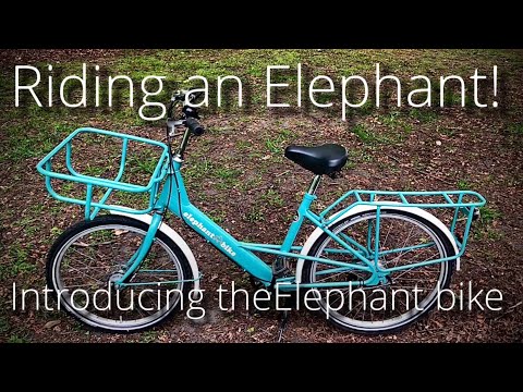 Introducing the Elephant Bike. Possibly the world’s best bicycle for most people! It’s Ethical, too!